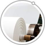 Papel y pulpa